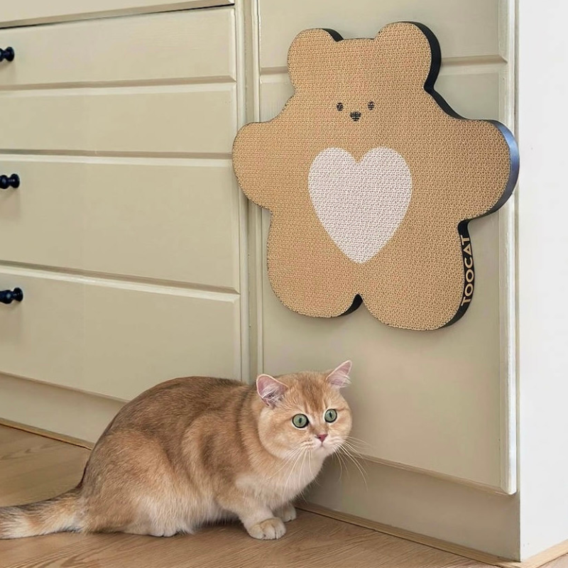 Cute Bear Cat Scratcher