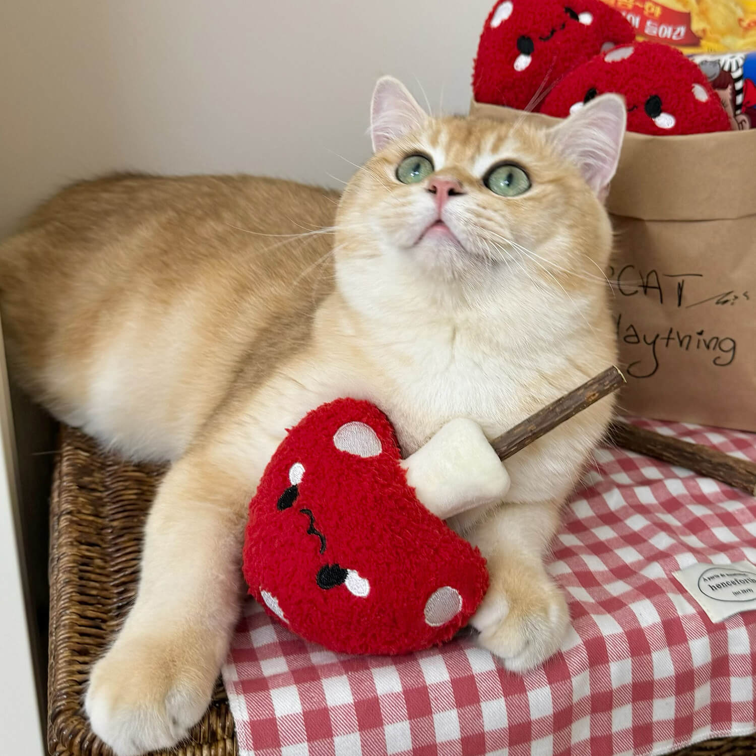 Mushroom Cat Chew Toy