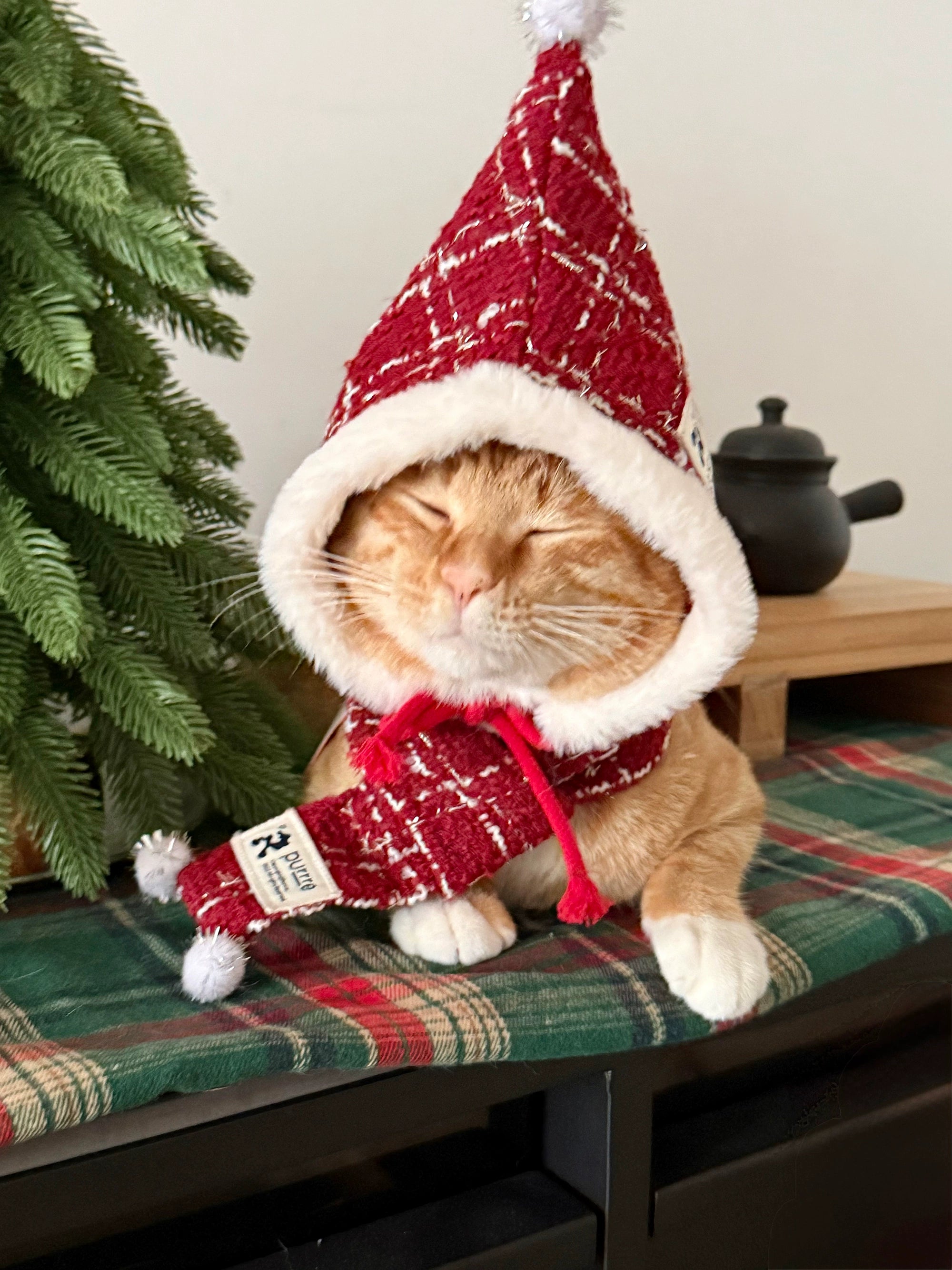Pet Christmas Outfit with Scarf and Hat