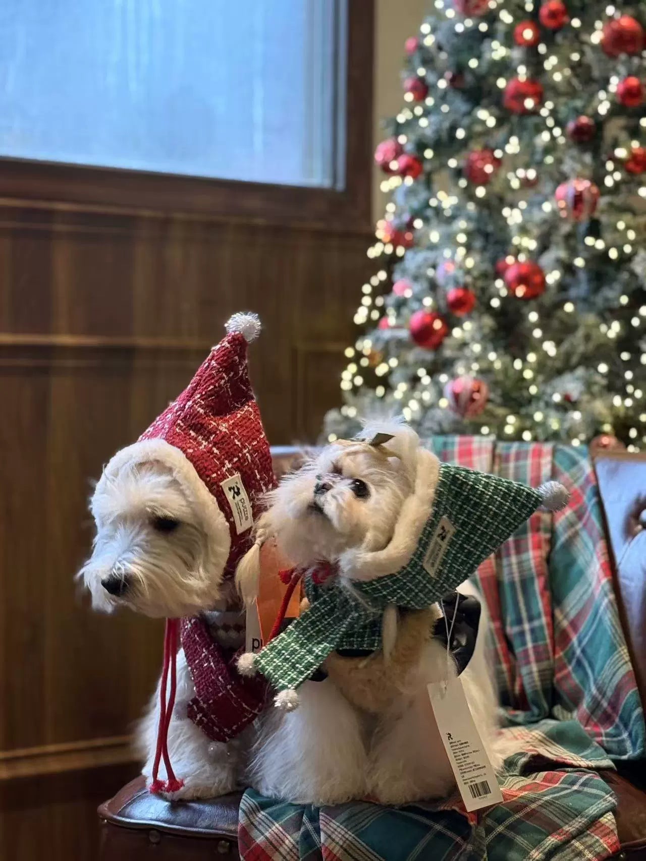 Pet Christmas Outfit with Scarf and Hat