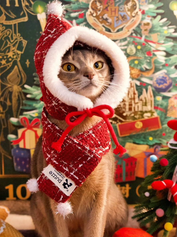 Pet Christmas Outfit with Scarf and Hat