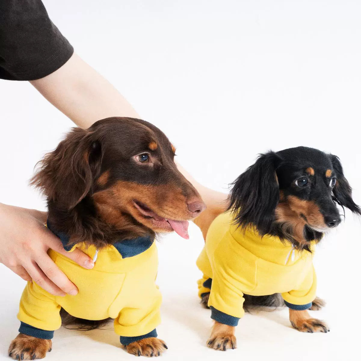 Dachshund Warm Stretchy Onesie