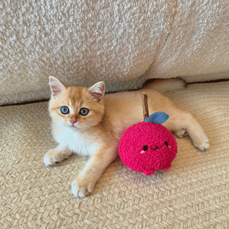 Onion Cat Chew Toy