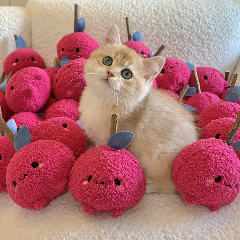 Onion Cat Chew Toy