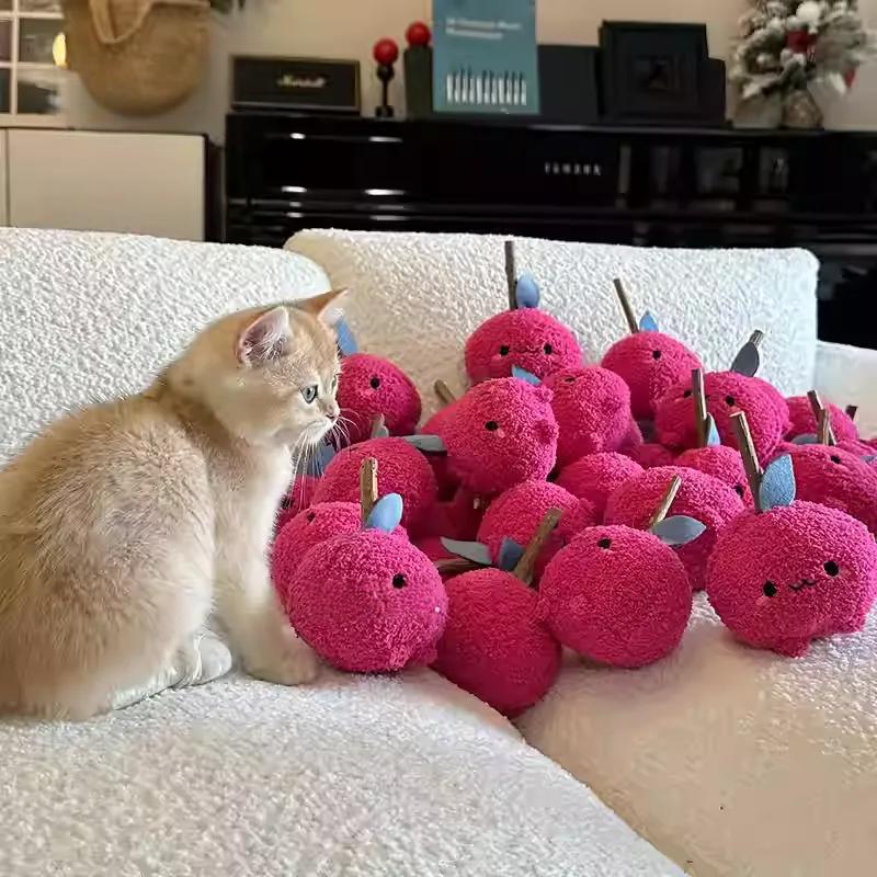 Onion Cat Chew Toy