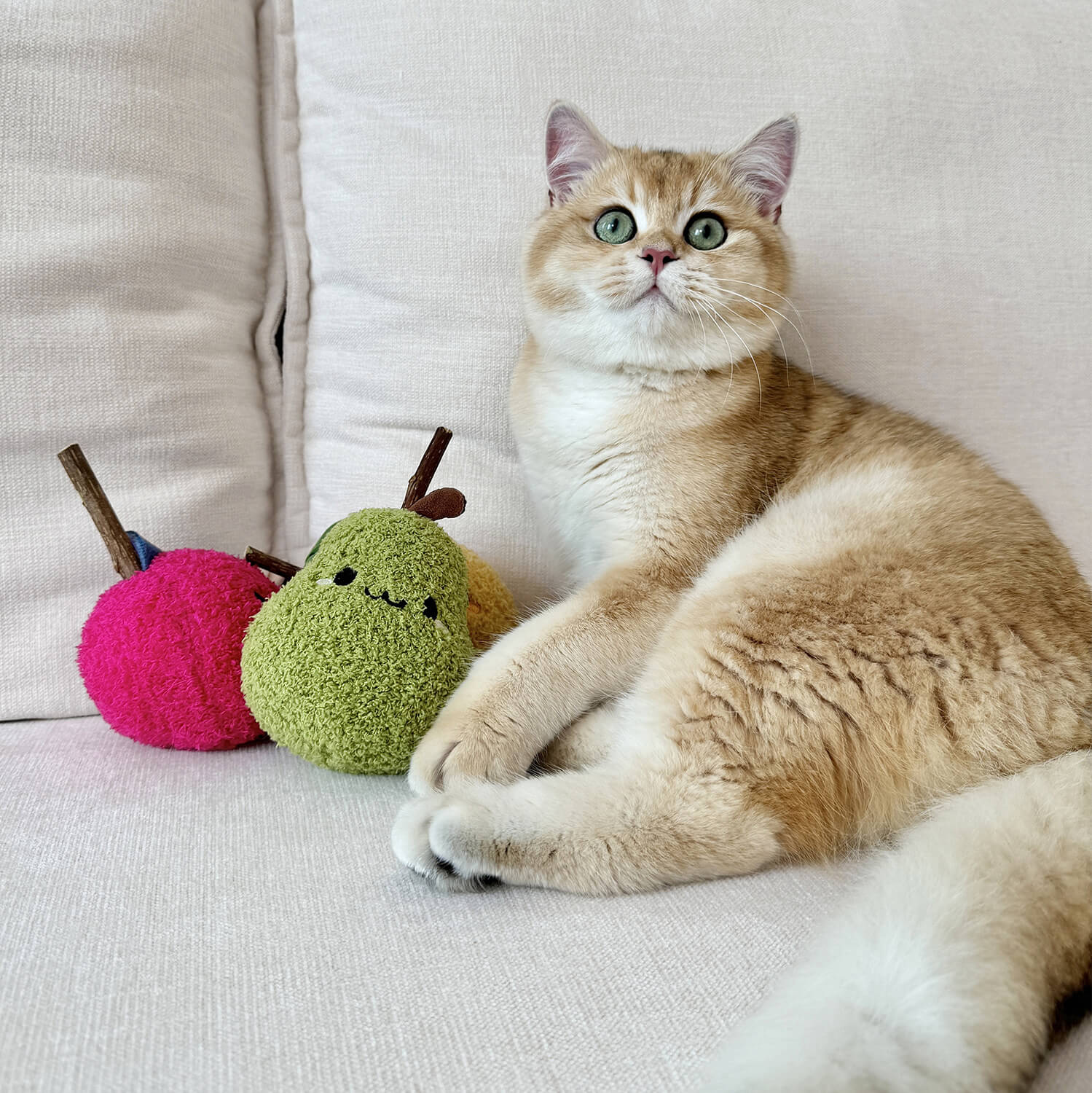 Pear Cat Chew Toy
