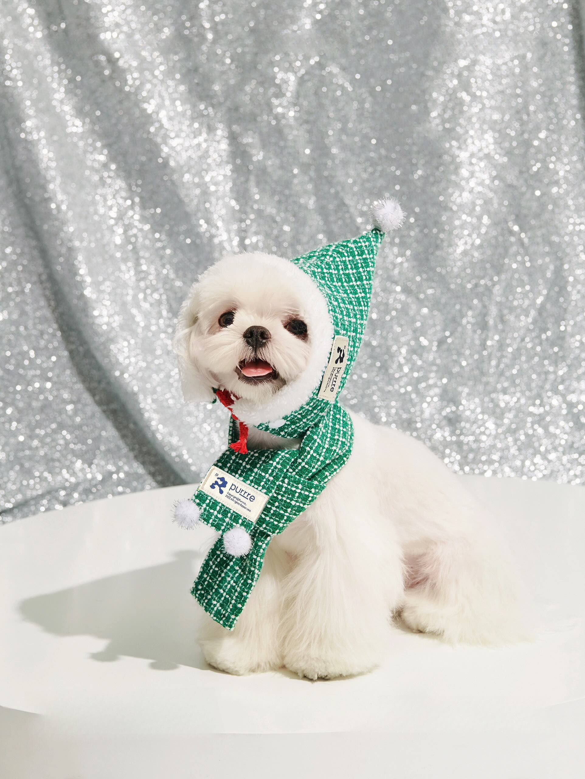 Pet Christmas Outfit with Scarf and Hat