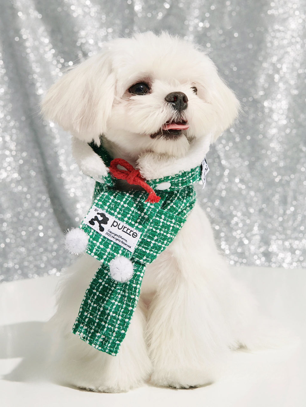 Designer Pet Christmas Outfit with Detachable Hat & Scarf for Dog & Cat Cozy Christmas Winter Apparel Green 2-2