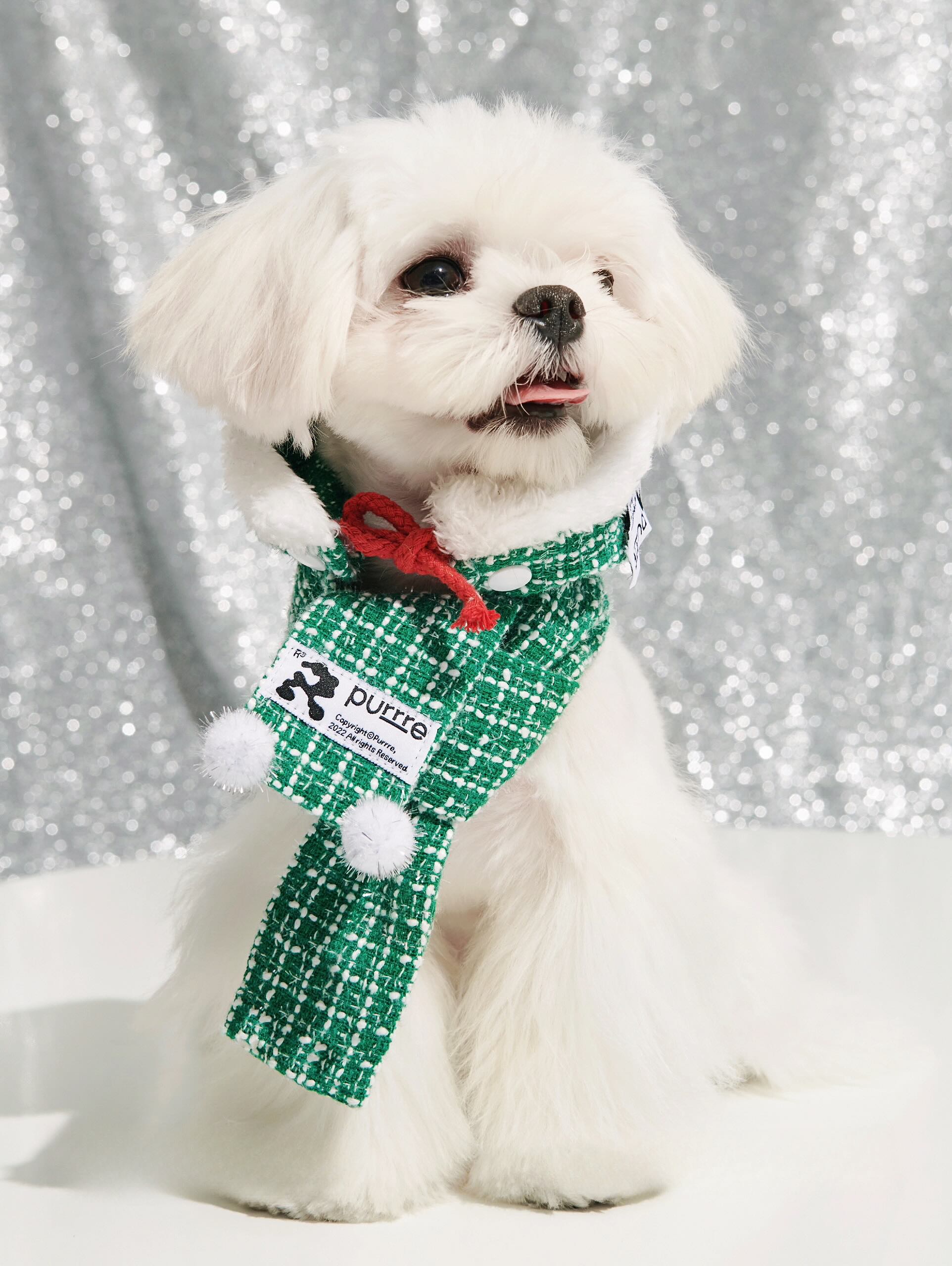 Pet Christmas Outfit with Scarf and Hat