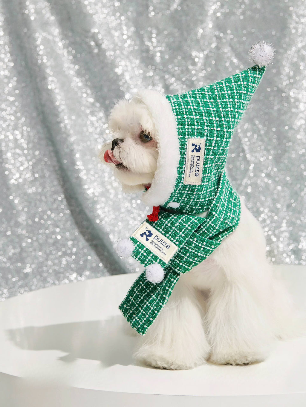 Designer Pet Christmas Outfit with Detachable Hat & Scarf for Dog & Cat Cozy Christmas Winter Apparel Green 2-3