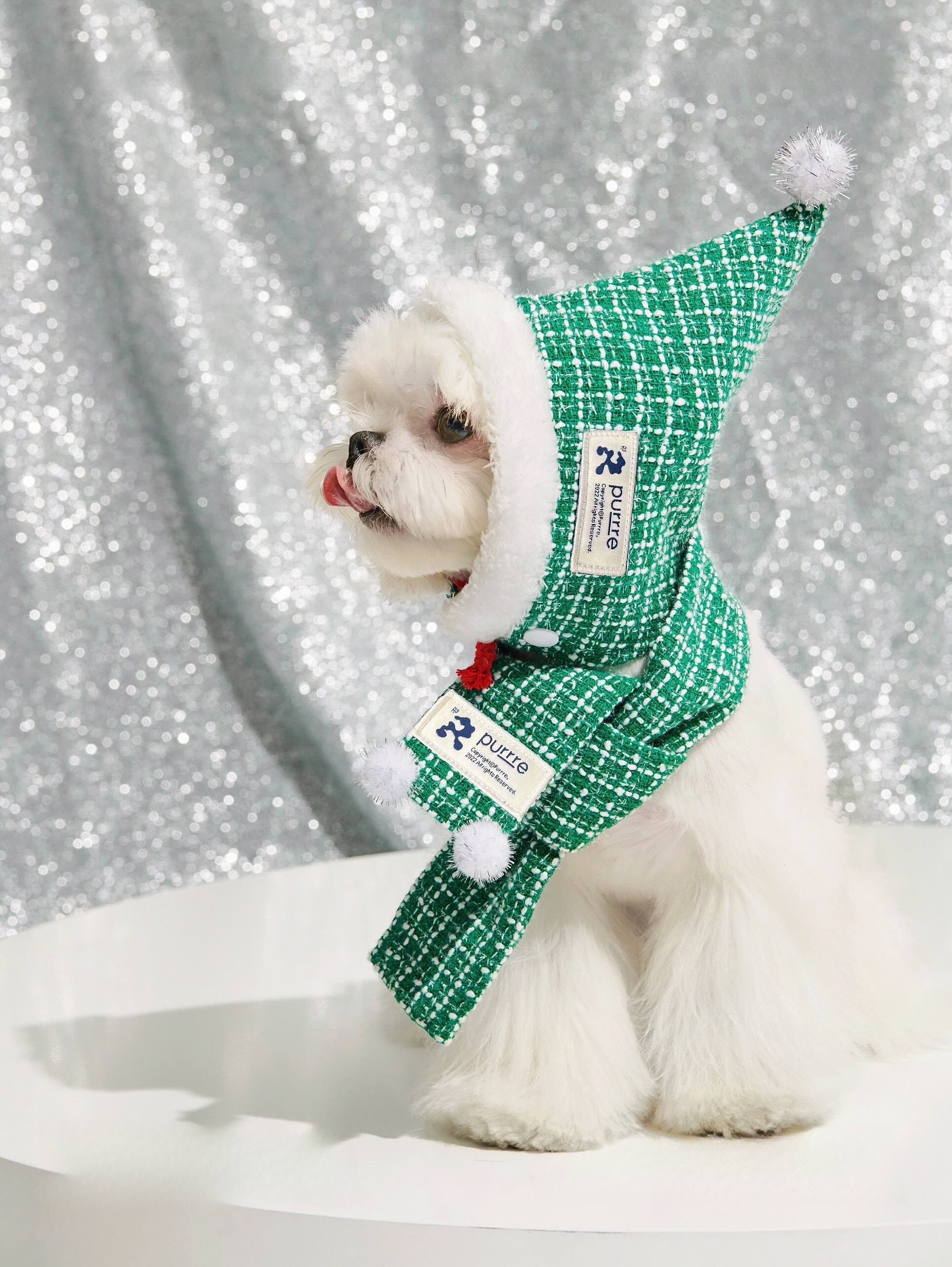 Designer Pet Christmas Outfit with Detachable Hat & Scarf for Dog & Cat Cozy Christmas Winter Apparel Green 2-3
