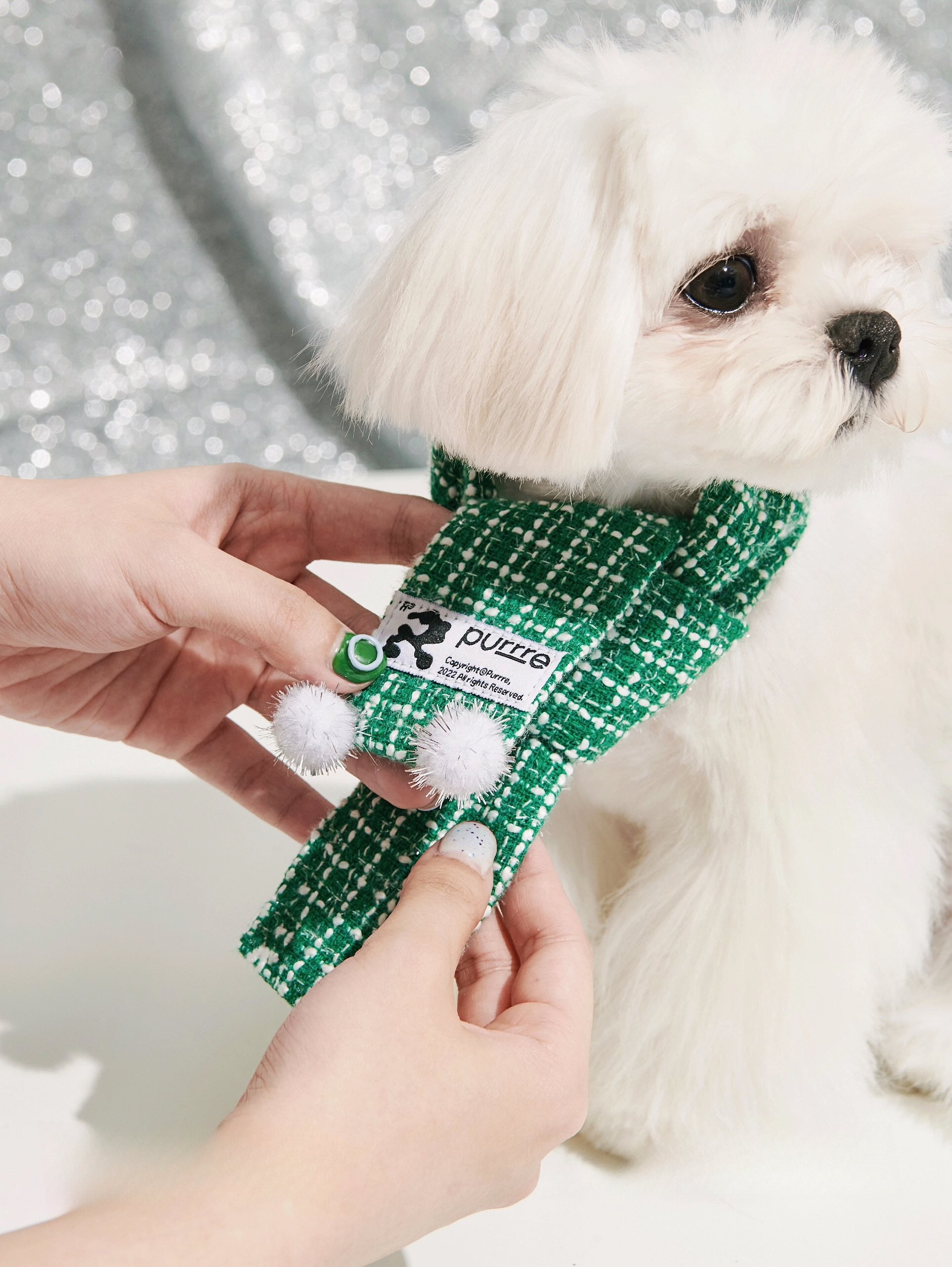 Pet Christmas Outfit with Scarf and Hat