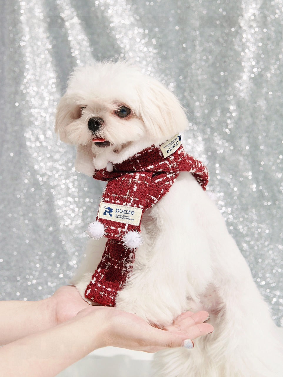 Designer Pet Christmas Outfit with Detachable Hat & Scarf for Dog & Cat Cozy Christmas Winter Apparel Red 1-2