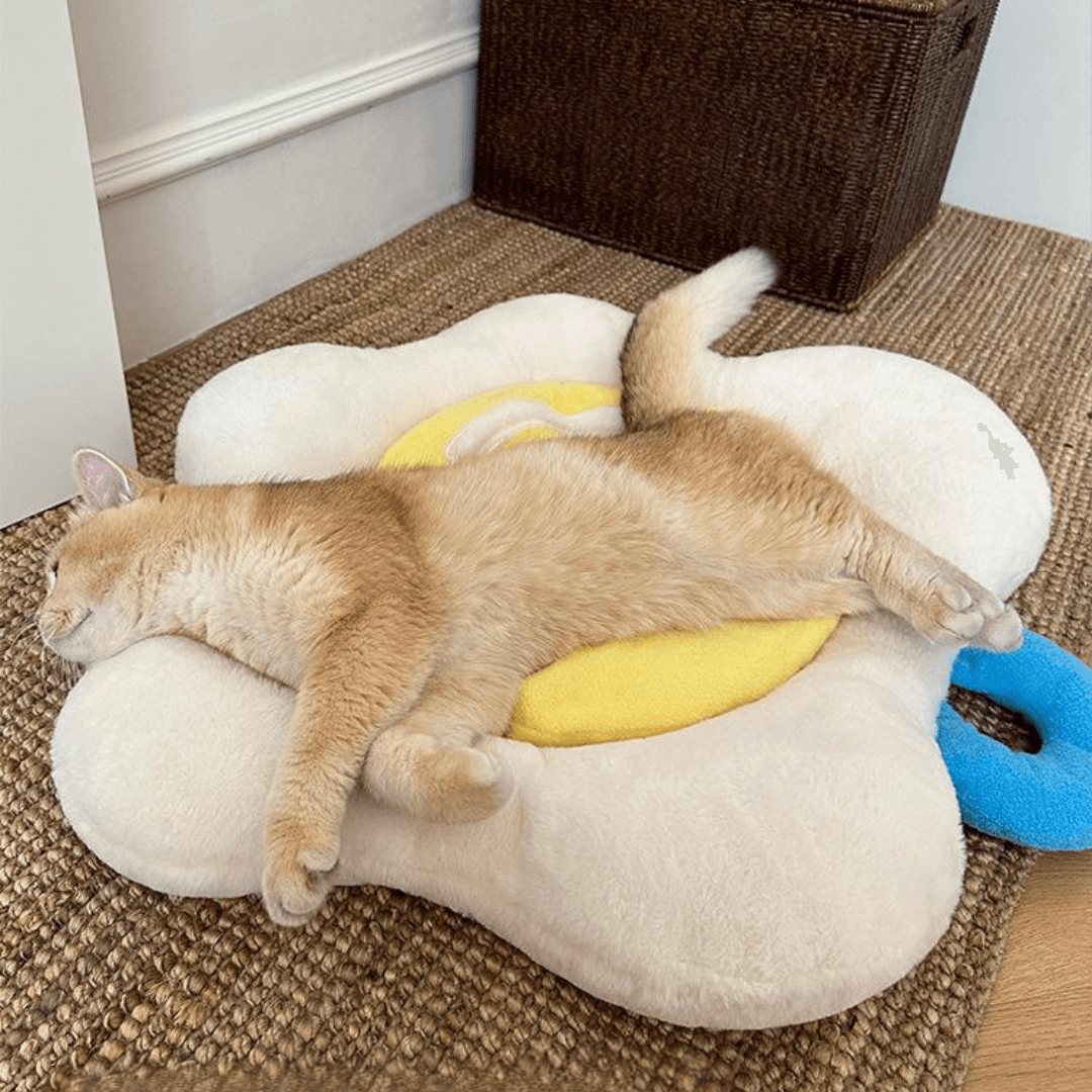 Poached Egg Pet Cushion
