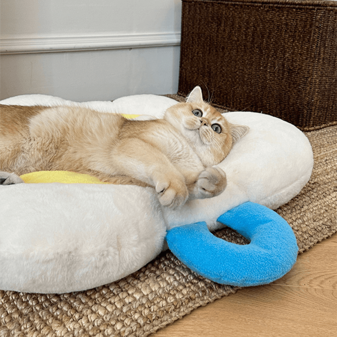 Poached Egg Pet Cushion