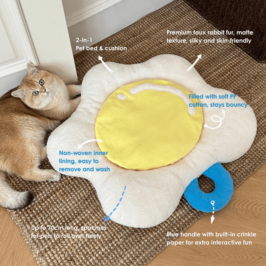 Poached Egg Pet Cushion