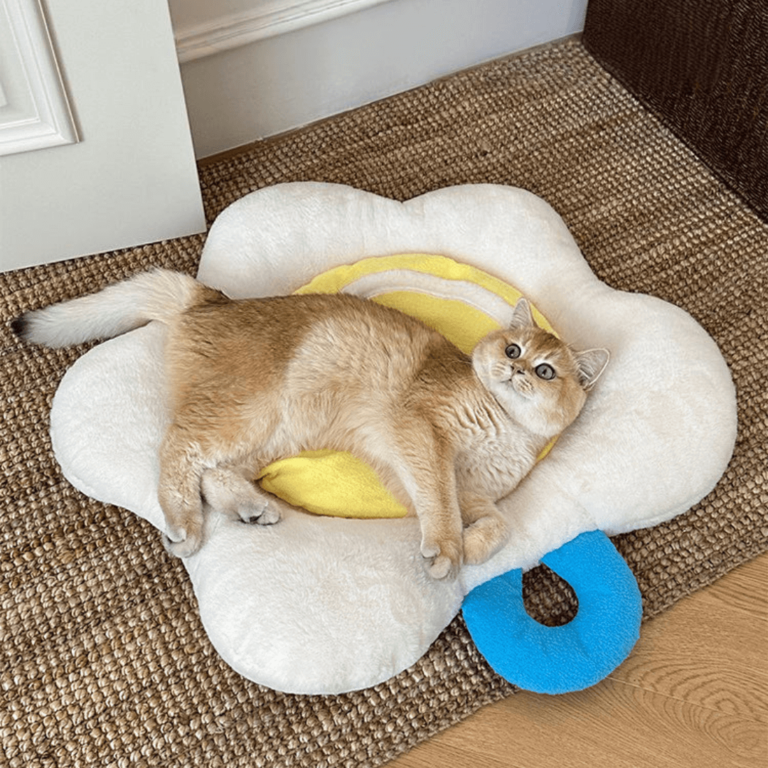 Poached Egg Pet Cushion