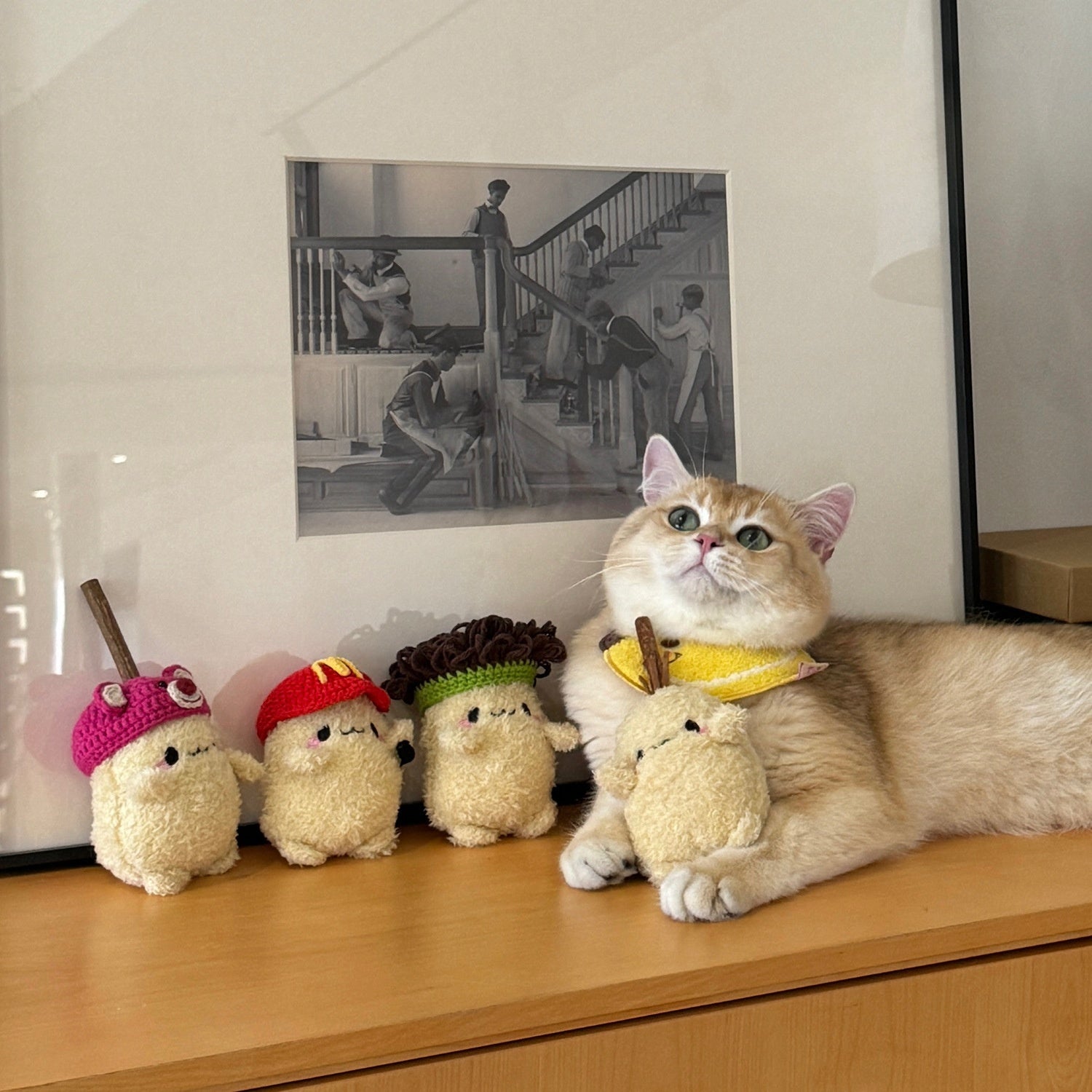 Potato Cat Chew Toy