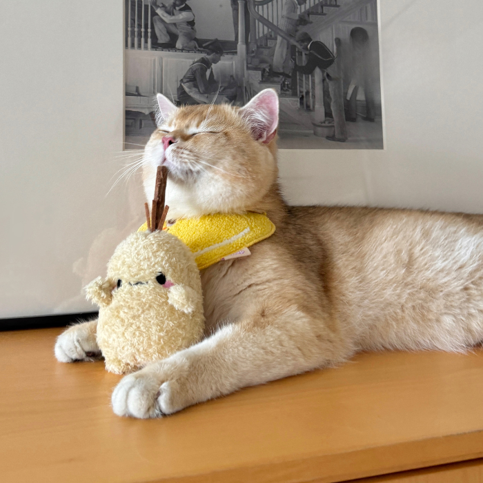 Potato Cat Chew Toy