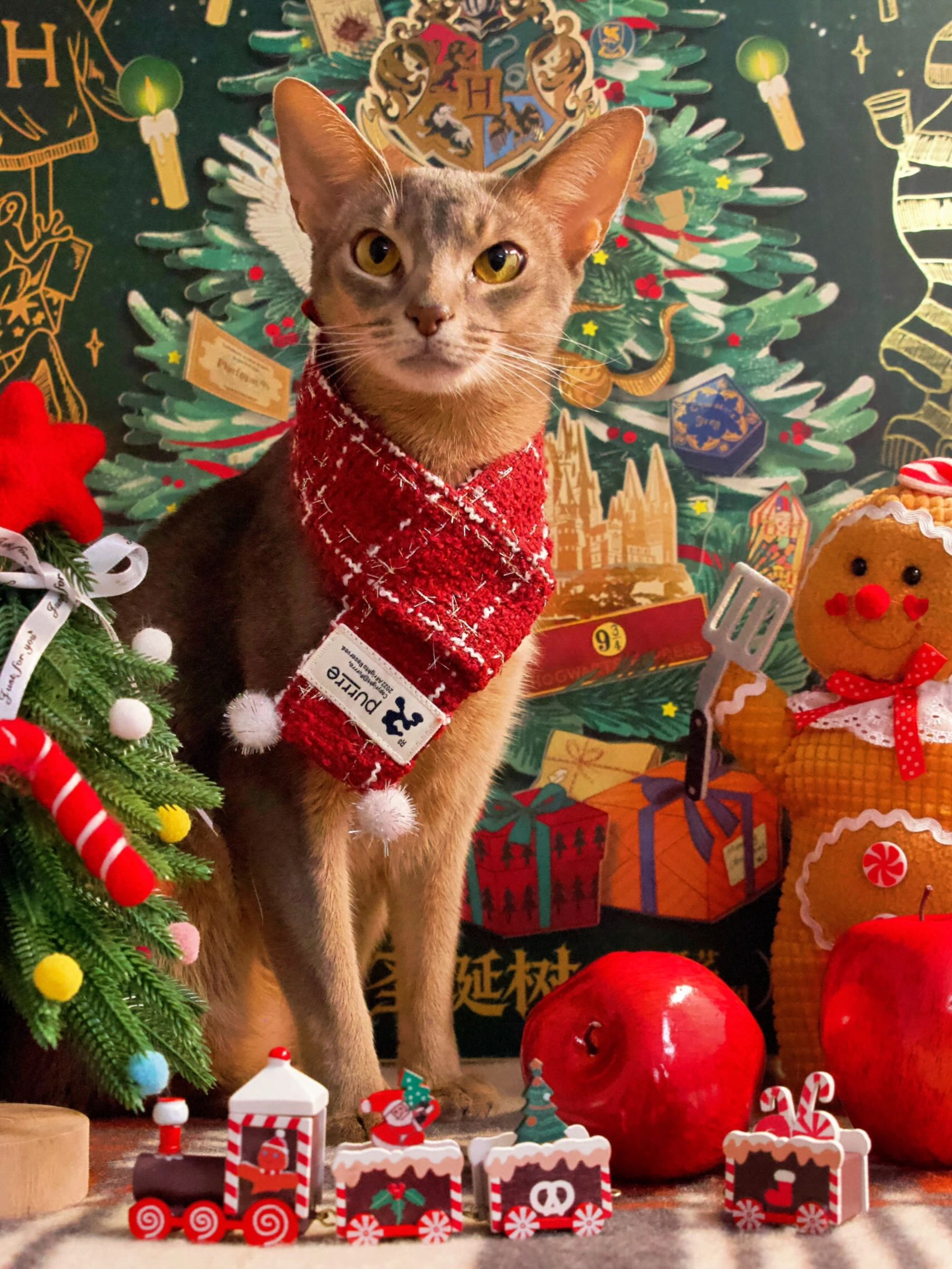 Pet Christmas Outfit with Scarf and Hat