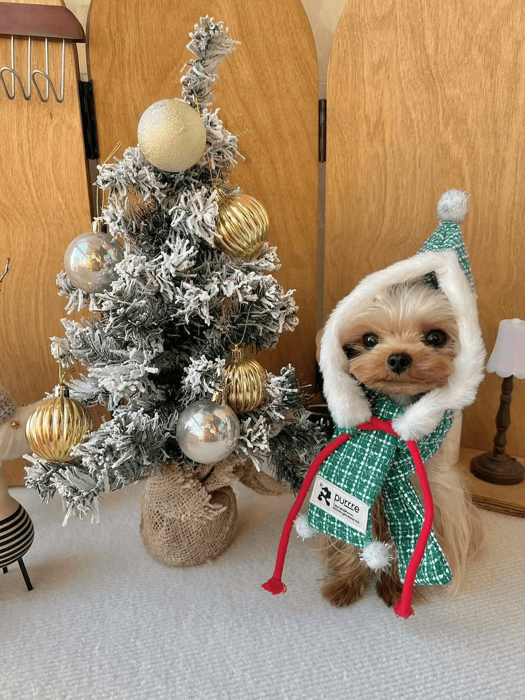 Pet Christmas Outfit with Scarf and Hat
