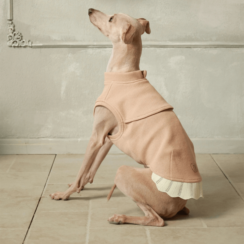 Italian Greyhound & Whippets Sleeveless Sweatshirt