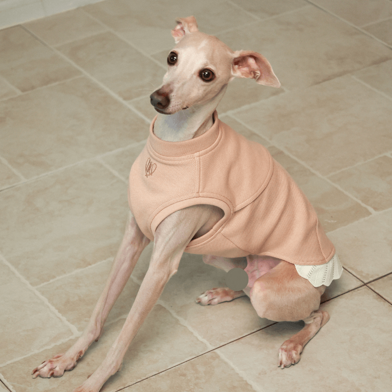 Italian Greyhound & Whippets Sleeveless Sweatshirt