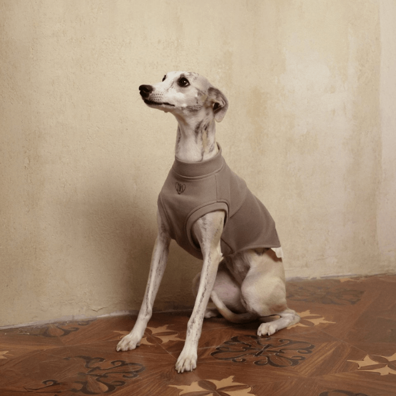 Italian Greyhound & Whippets Sleeveless Sweatshirt