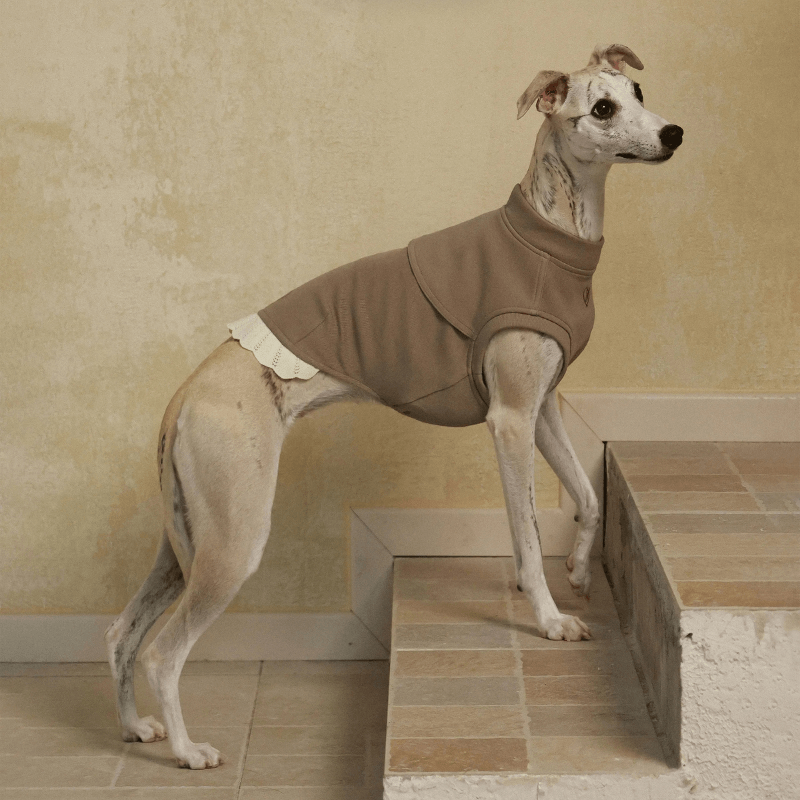 Italian Greyhound & Whippets Sleeveless Sweatshirt