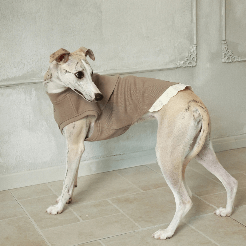 Italian Greyhound & Whippets Sleeveless Sweatshirt