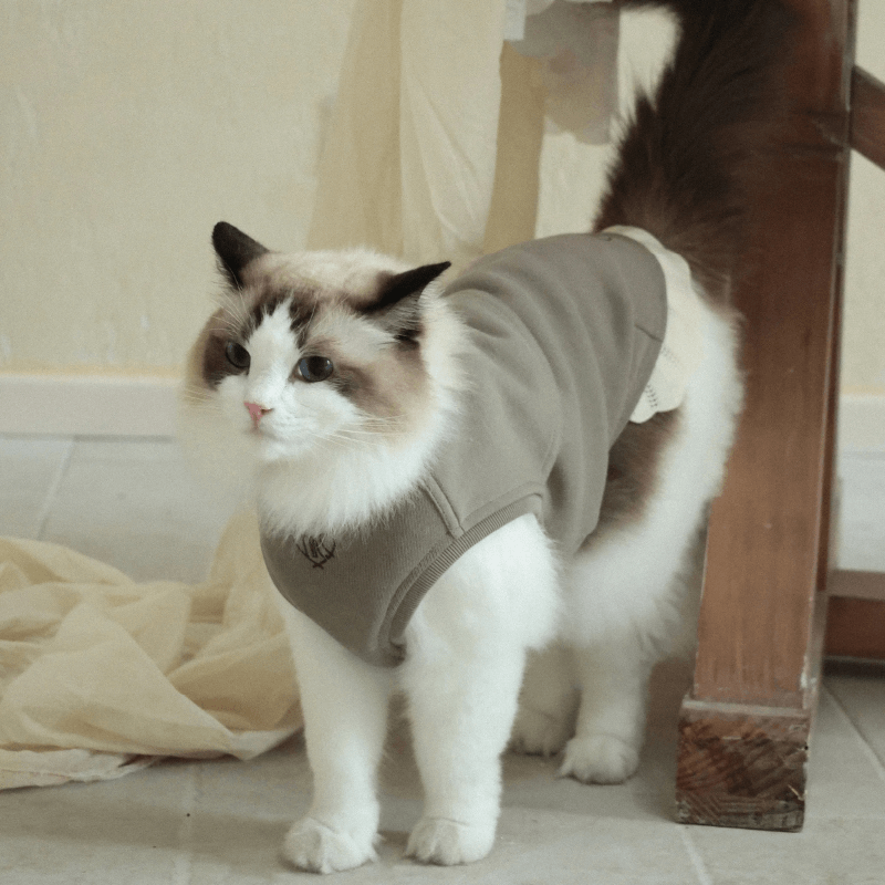 Italian Greyhound & Whippets Sleeveless Sweatshirt