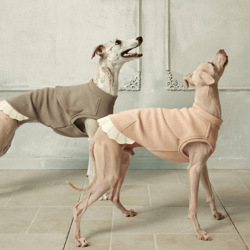Italian Greyhound & Whippets Sleeveless Sweatshirt
