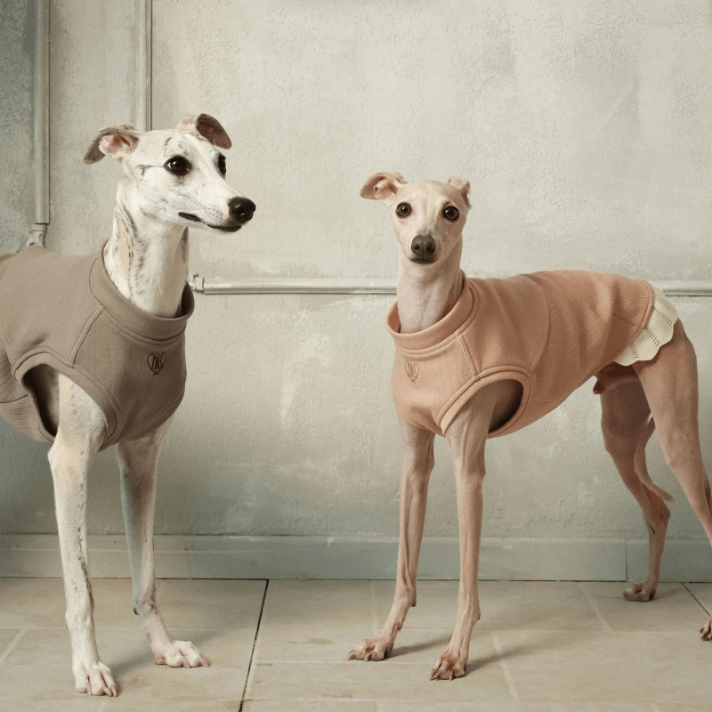 Italian Greyhound & Whippets Sleeveless Sweatshirt
