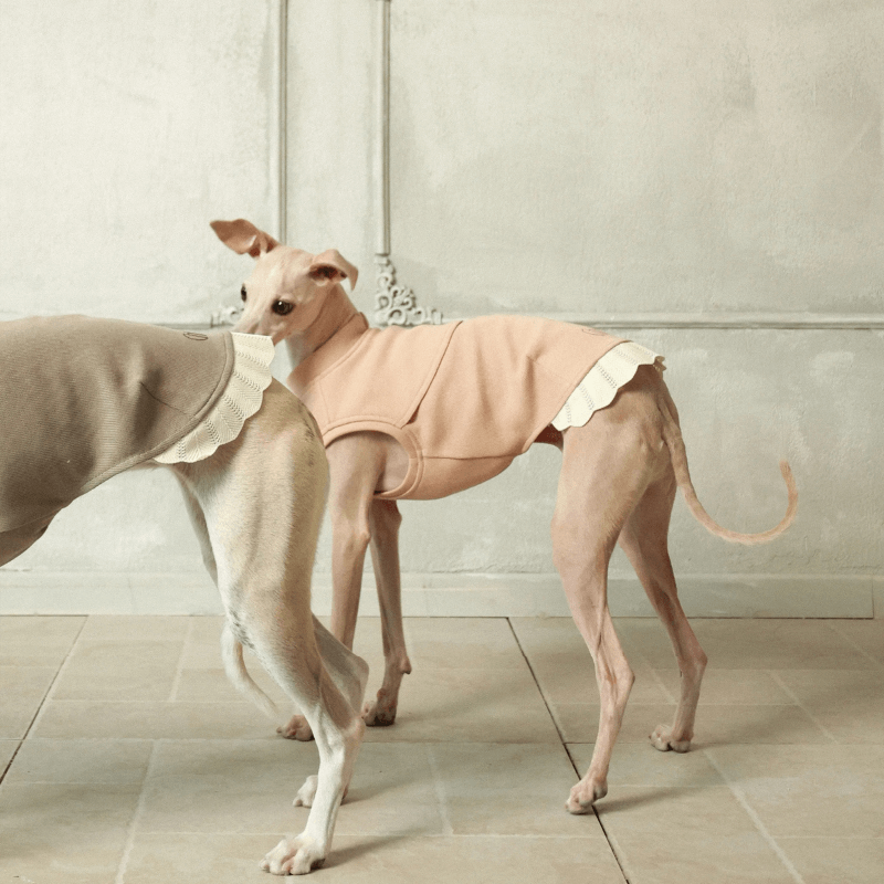 Italian Greyhound & Whippets Sleeveless Sweatshirt
