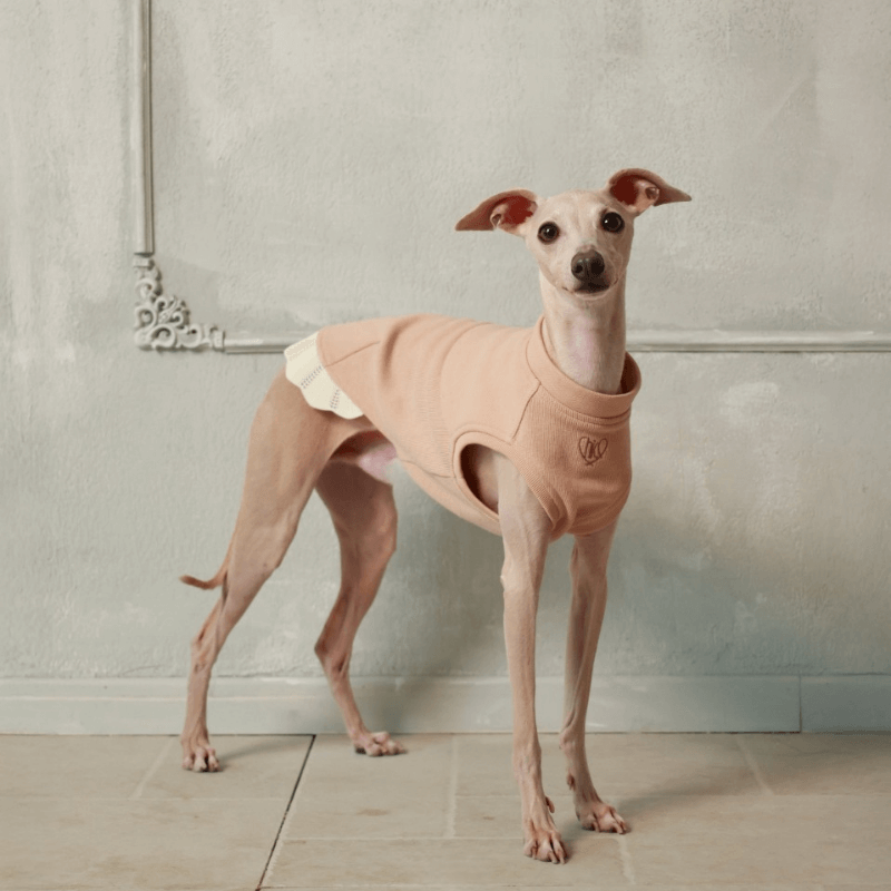 Italian Greyhound & Whippets Sleeveless Sweatshirt
