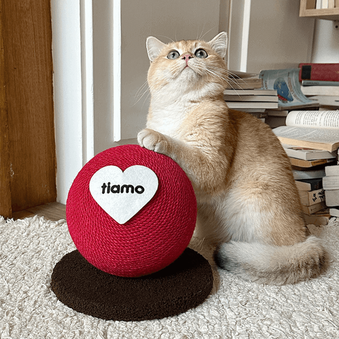 Tiamo Cat Scratching Ball