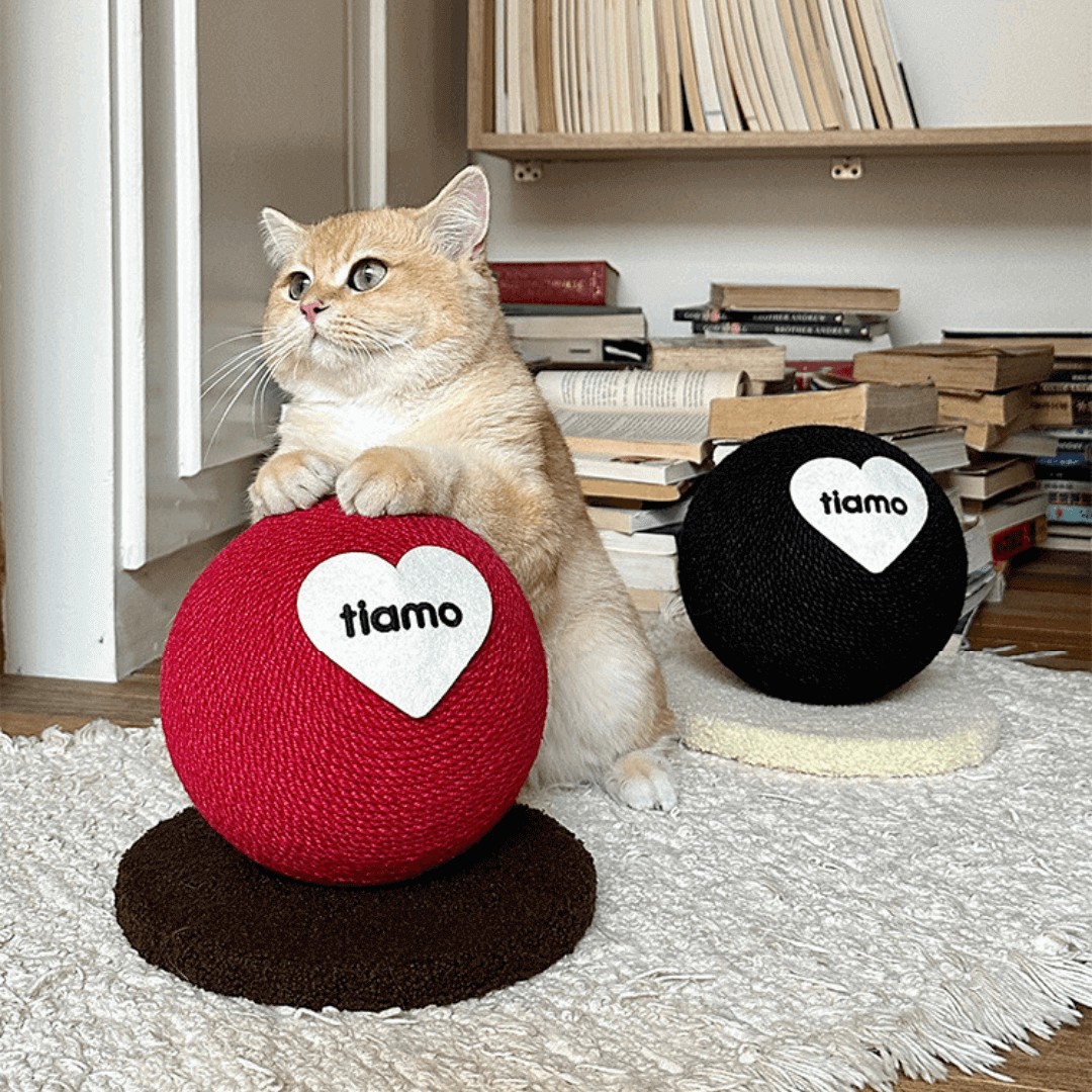 Tiamo Cat Scratching Ball