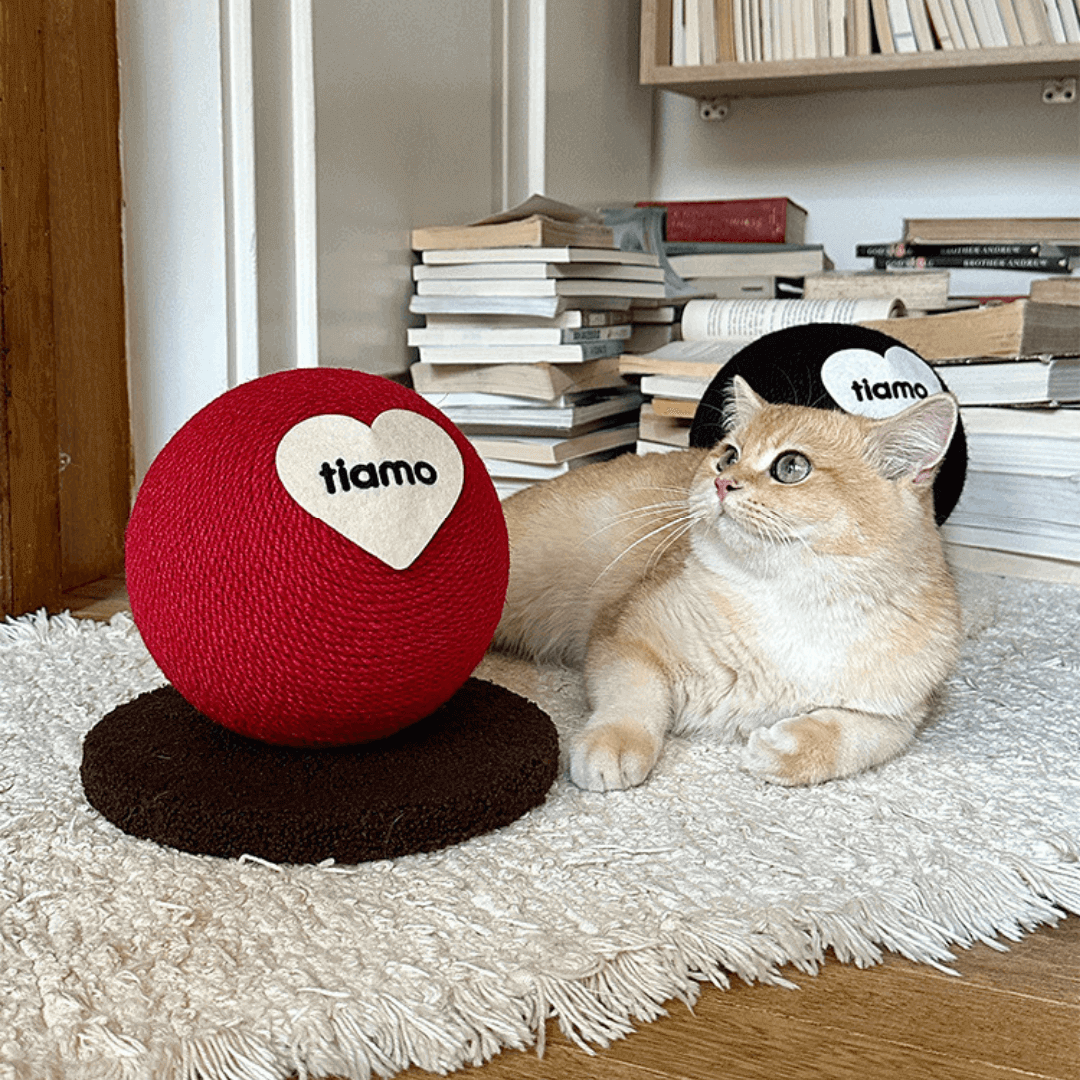 Tiamo Cat Scratching Ball