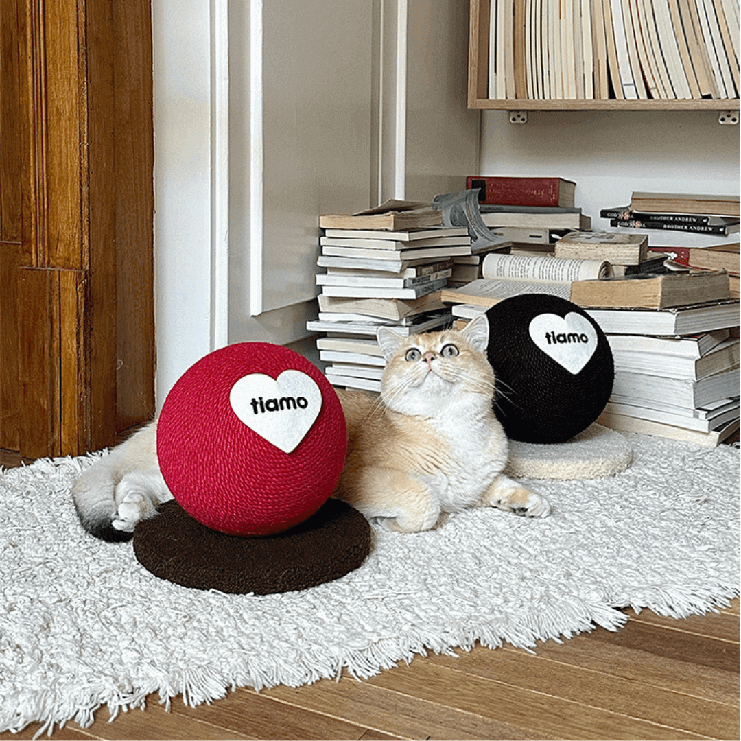 Tiamo Cat Scratching Ball