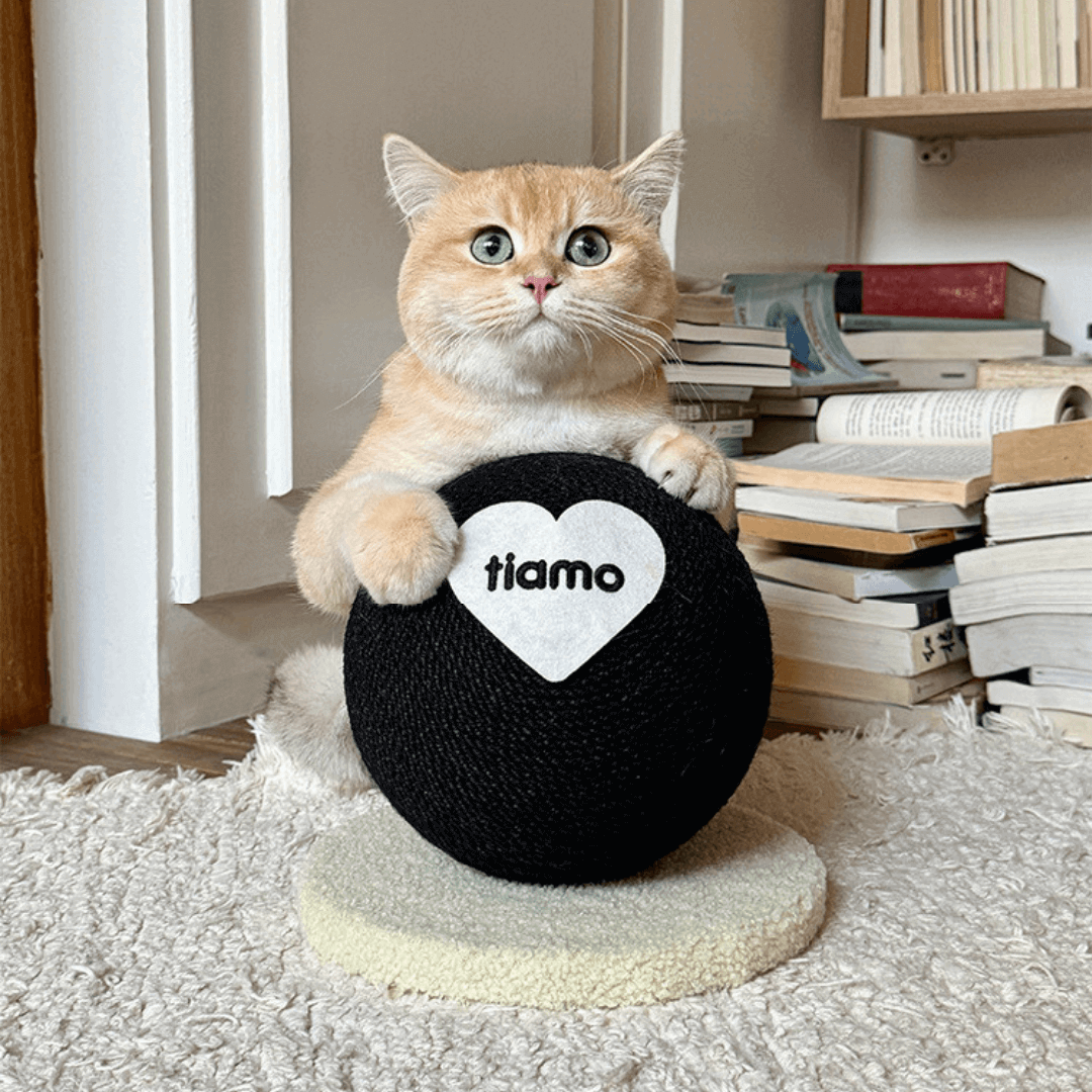 Tiamo Cat Scratching Ball