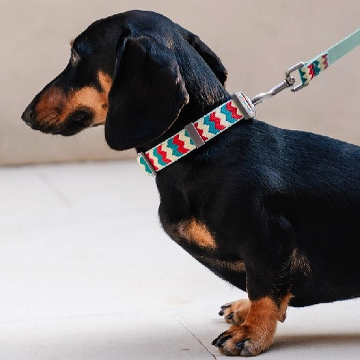 Jacquard Nylon Dog Leash