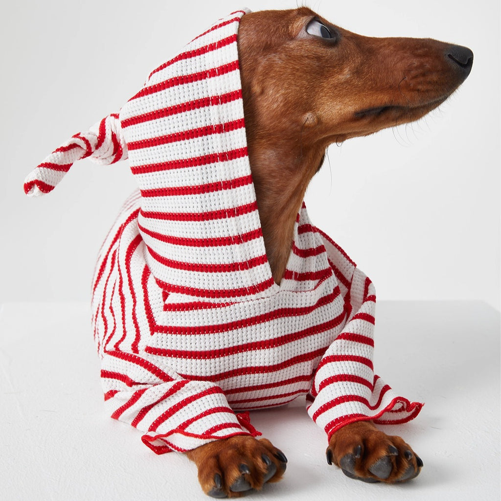 Dachshund Red & Blue Stripe Hoodie