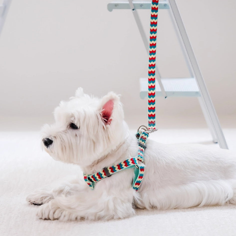 Jacquard Nylon Dog Leash