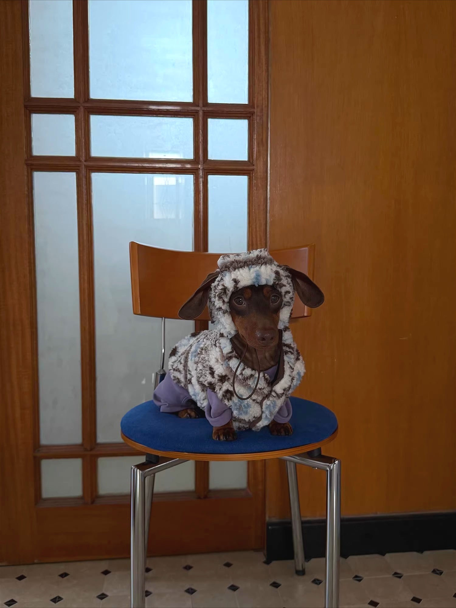 Fair Isle Dog Jumper and Hat