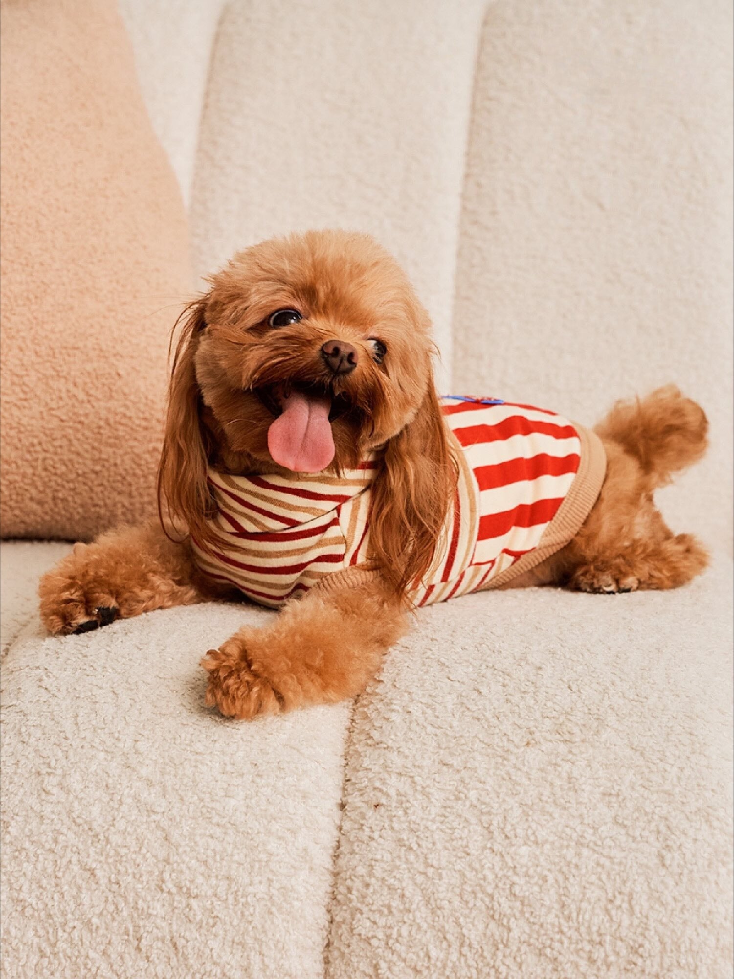 Popcorn Warm Cotton Pet Hoodie