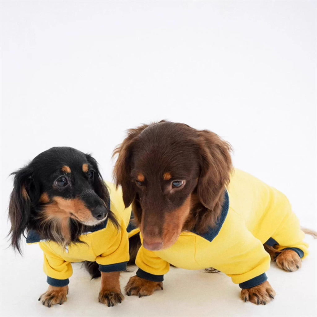 Dachshund Warm Stretchy Onesie