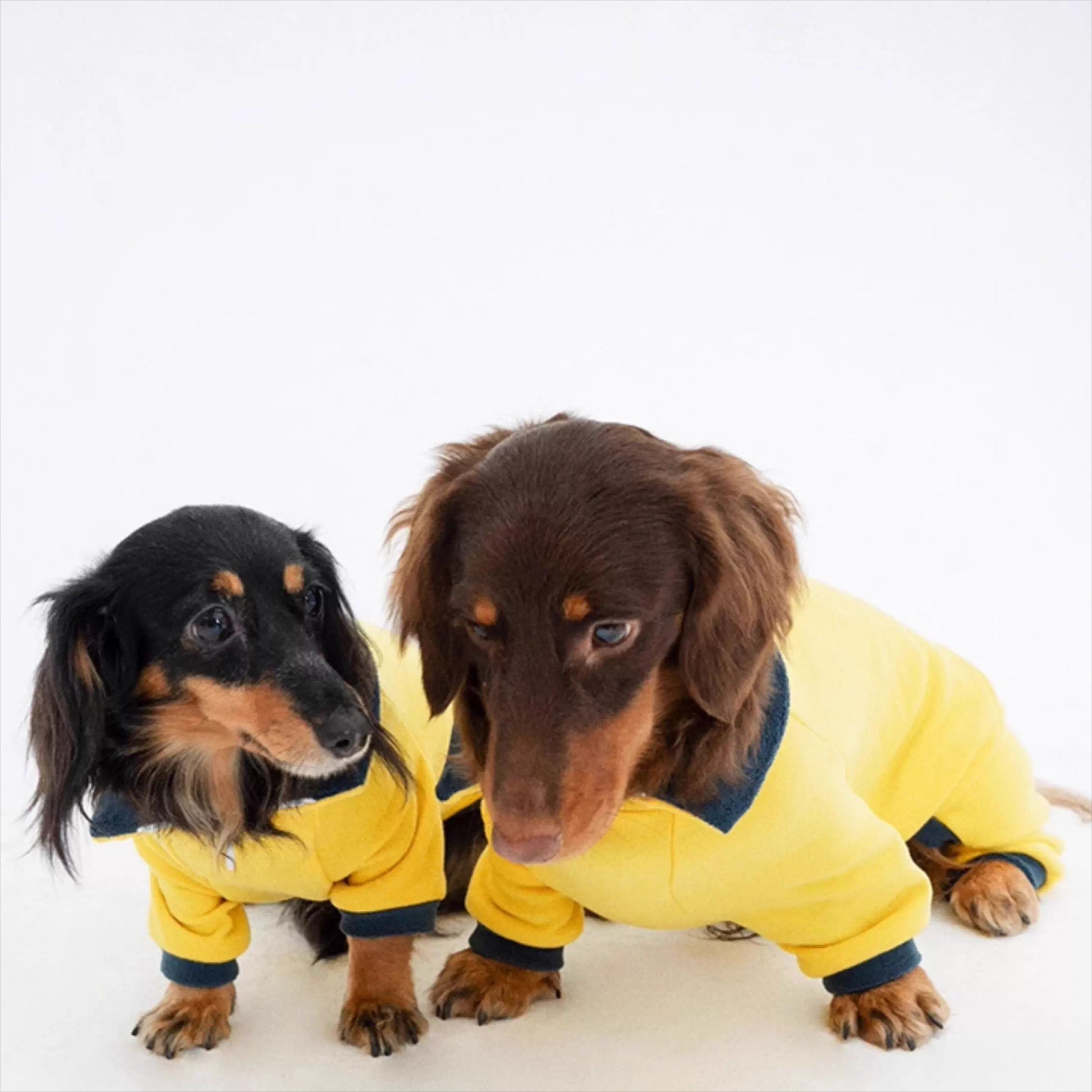Dachshund Warm Stretchy Onesie