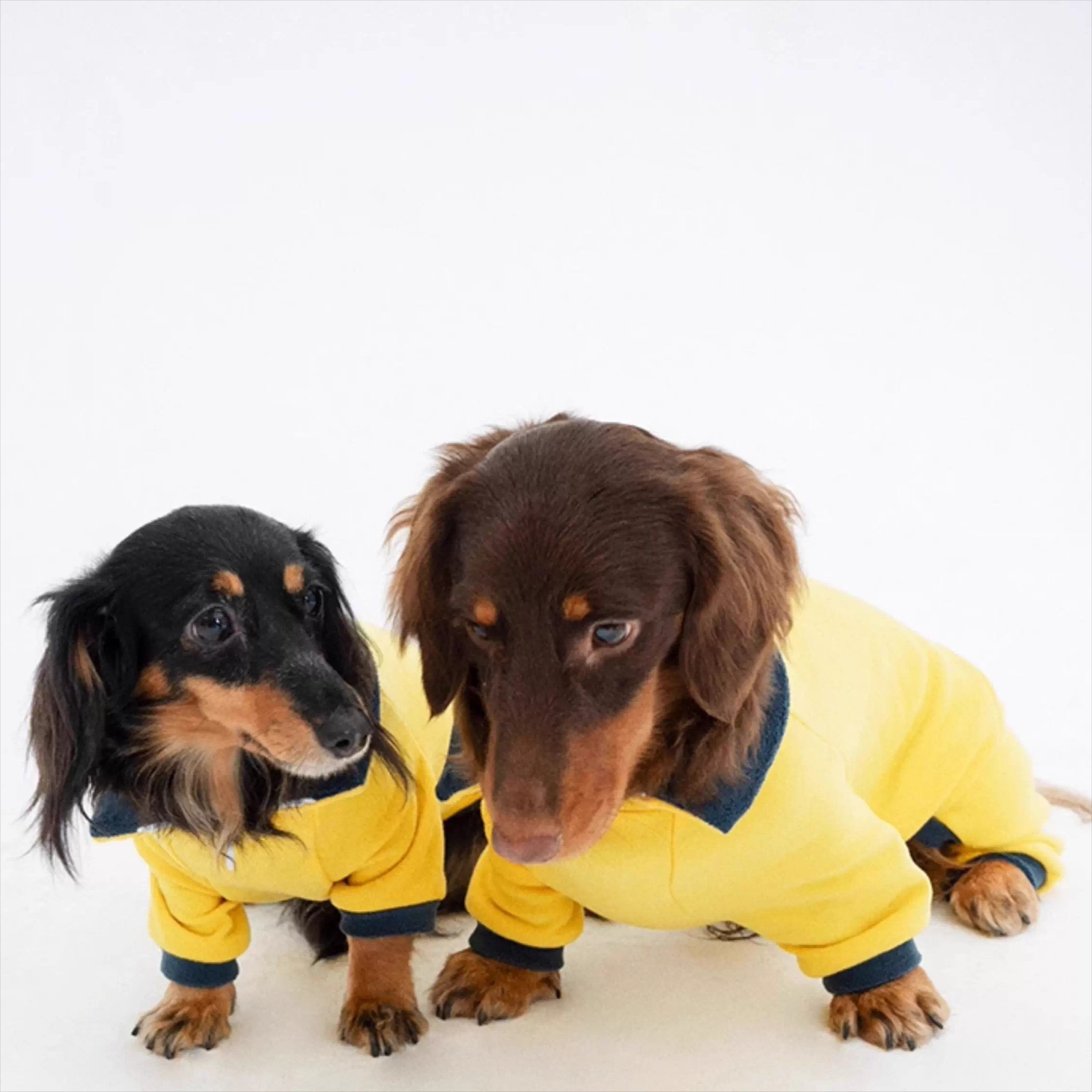 Dachshund Warm Stretchy Onesie