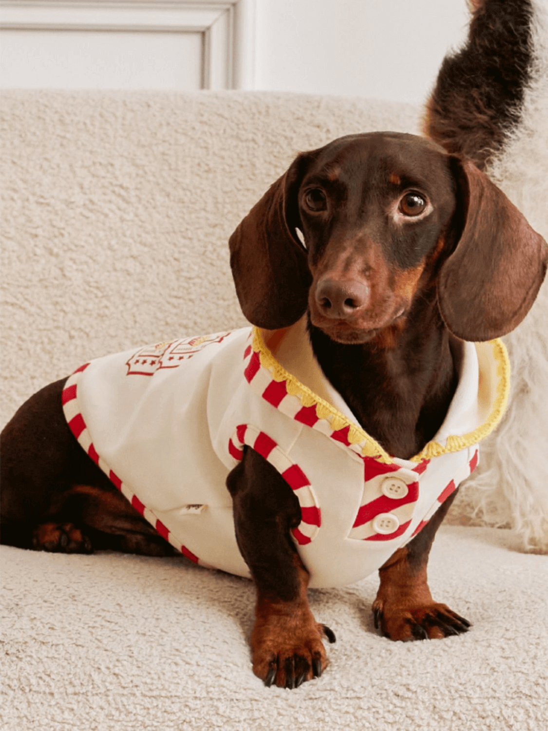 Popcorn Warm Cotton Pet Hoodie