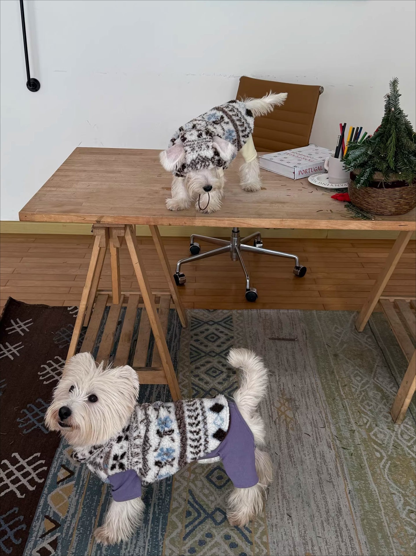 Fair Isle Dog Jumper and Hat